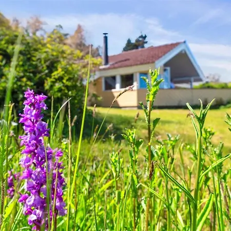 Henric - 75m From The Sea By Interhome * Allinge-Sandvig