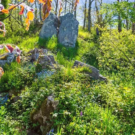 Henric - 75m From The Sea By Interhome Hébergement de vacances